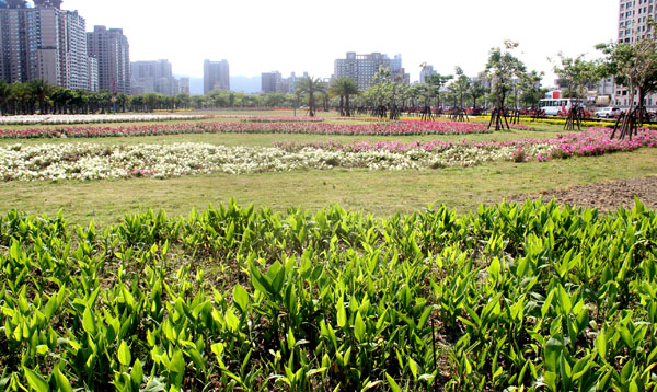 凹仔底公園為高雄注入綠色悠閒的氣息。（圖/黃建樺）