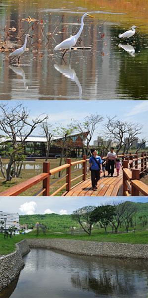 豐富的鳥類與紅樹林生態還原高雄過去的水岸林帶景色。（圖/高雄市政府工務局養護工程處 提供）