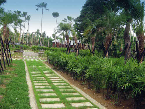 大坪頂熱帶植物園。（圖/高雄市政府工務局養護工程處 提供）