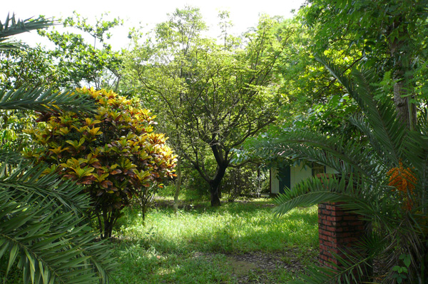 茂盛的園景，讓人感受到農村的悠閒氣氛。(圖/林麗華 提供)