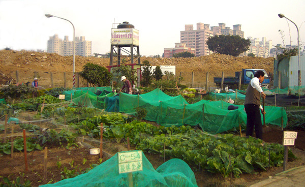 北區銀髮農園一隅。(圖/濟興長青基金會 提供)