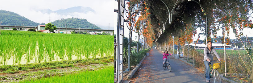 今年12月底後，自行車族可騎乘大寮捷運－社區農村－水圳自行車道，體驗農村風貌。（圖/辛永勝、高雄市政府工務局 提供）