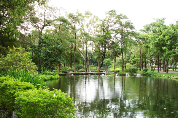 大東公園結合大東文化藝術中心及鳳山溪沿岸綠地，展現鳳山新氣象。（圖/高雄市政府養護工程處 提供）