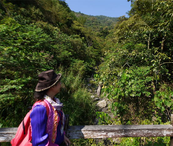 茂林每年舉辦賞蝶活動成為熱門賞蝶地點。（圖∕張簡英豪 攝）