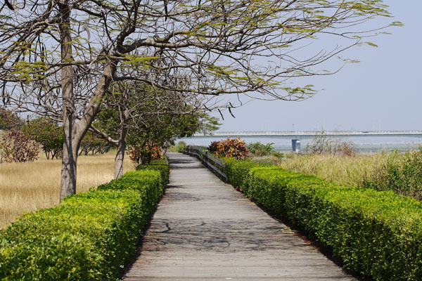 高雄市闢建林園海洋濕地公園。（圖∕張簡英豪 攝）