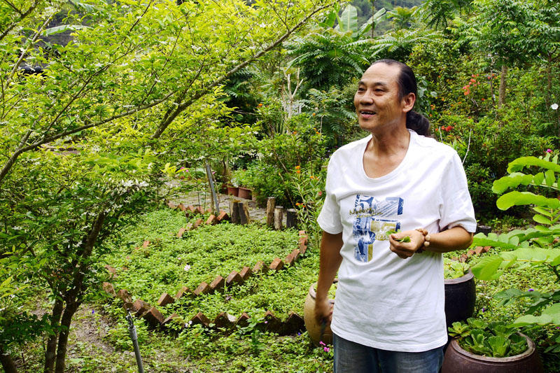 任二哥在香草園裡栽植各式香草植物隨時摘取入菜。（圖∕張簡英豪 攝）