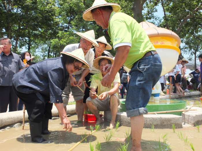 陳菊市長親自到開心農場參與下田插秧活動。（圖∕高雄市政府農業局 提供）