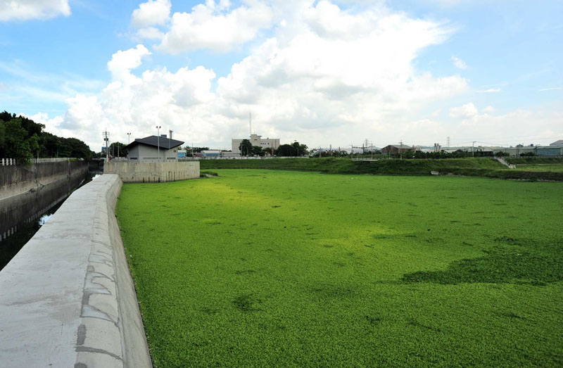 山仔頂溝滯洪池已在今年2月完工，有效發揮鳳山溪上游排水集水功能。（圖∕鮑忠暉 攝）