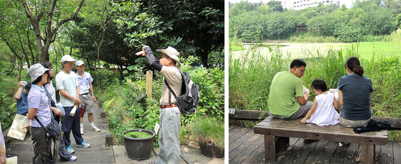 鳥松濕地公園每星期日有生態導覽活動。（圖∕徐世雄 攝）