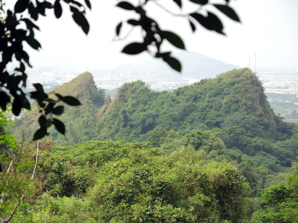 從觀音山上可遠眺觀音山系奇峰及高雄平原。（圖∕徐世雄 攝）