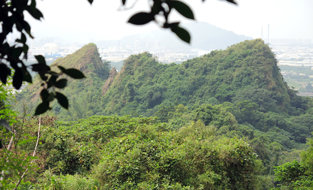 登山、探古、嚐土雞  大社豐富之旅