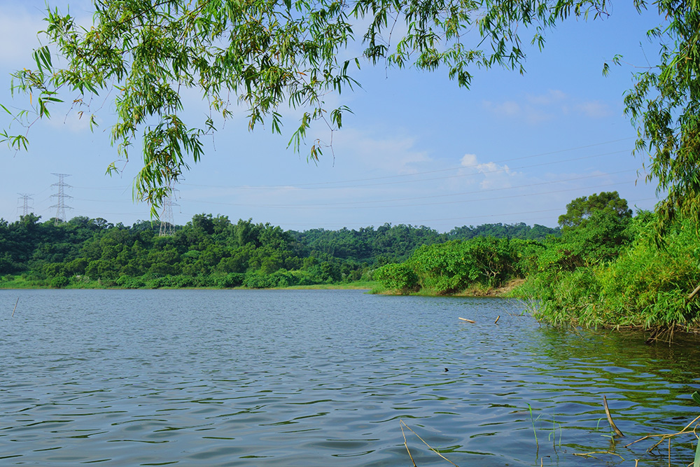 觀音湖。（攝影╱Bill Hwang）