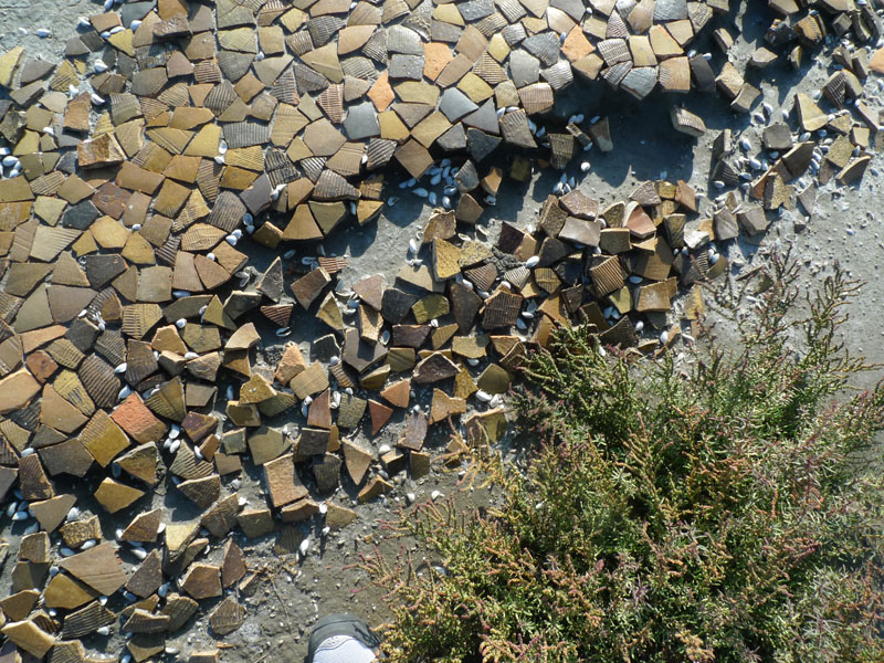 永安溼地的瓦盤鹽灘遺跡陶瓦破片仍排列得非常整齊。（圖∕張筧 攝）