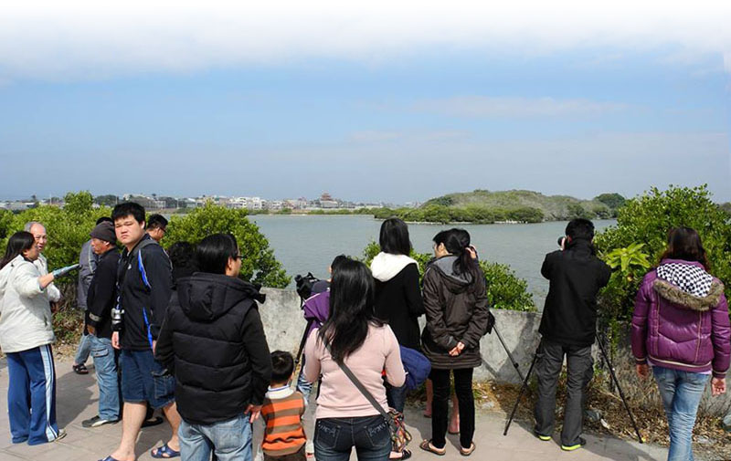 茄萣濕地每到候鳥季節擠滿賞鳥人士。（圖∕茄萣生態文化協會 提供）