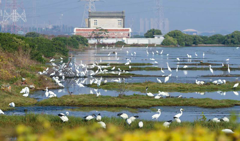 滄海、鹽田、濕地  百年土地故事