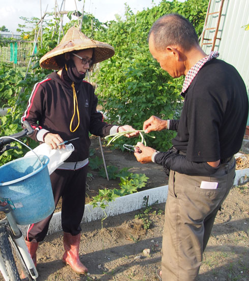 銀髮農園讓都會區的長輩也有機會享受田園樂。（圖∕張筧 攝）