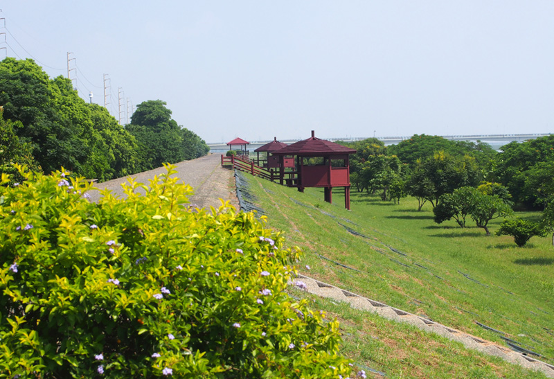 高屏溪下游綠意盎然的紅樹林秘境。（圖∕張筧 攝）