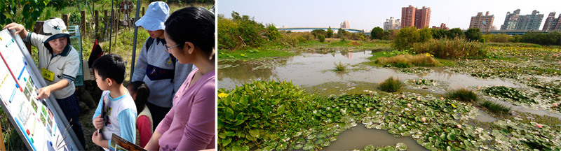 洲仔濕地公園是高雄第一個獲認證的環境教育場域。（圖∕張簡英豪 攝)