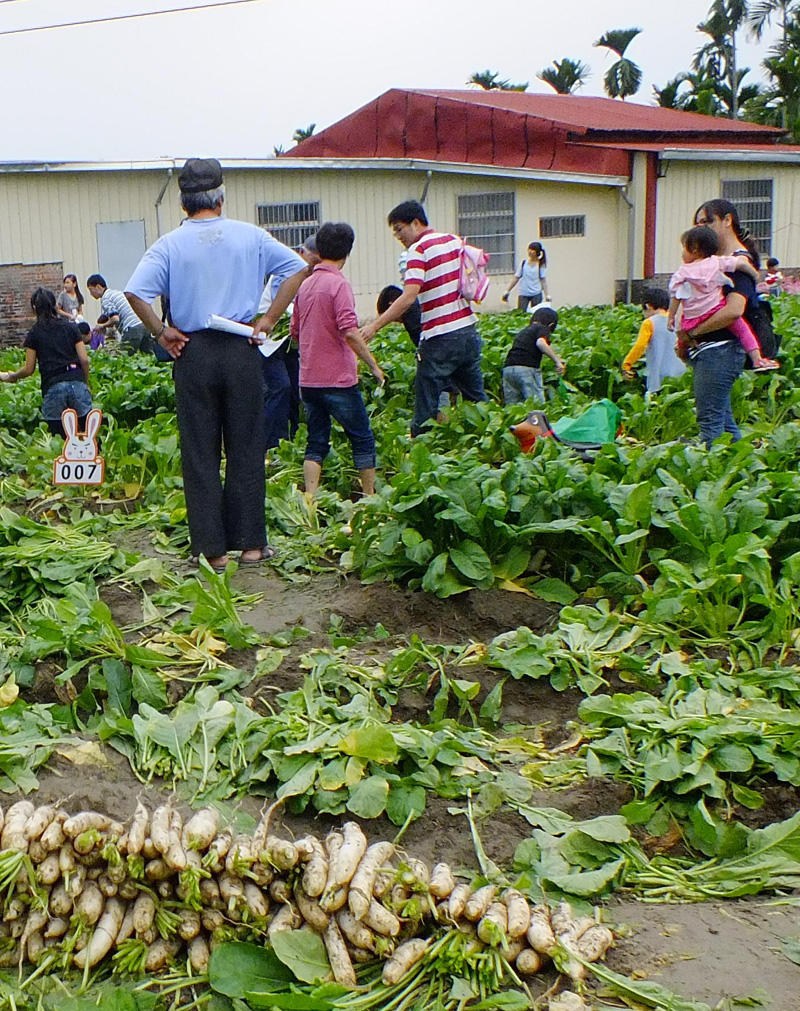 產地體驗活動為農村帶來新的收益。（圖∕美濃區農會 提供）