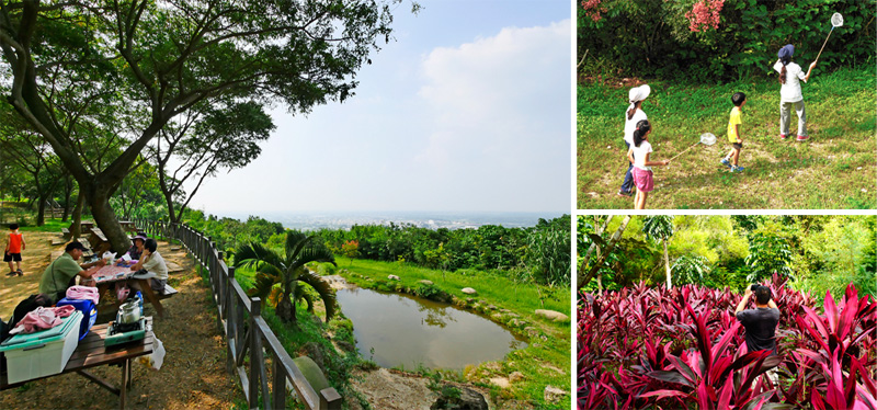 廣大的大崗山自然生態園區適合野餐休憩、觀察生態。（圖∕張簡英豪 攝）