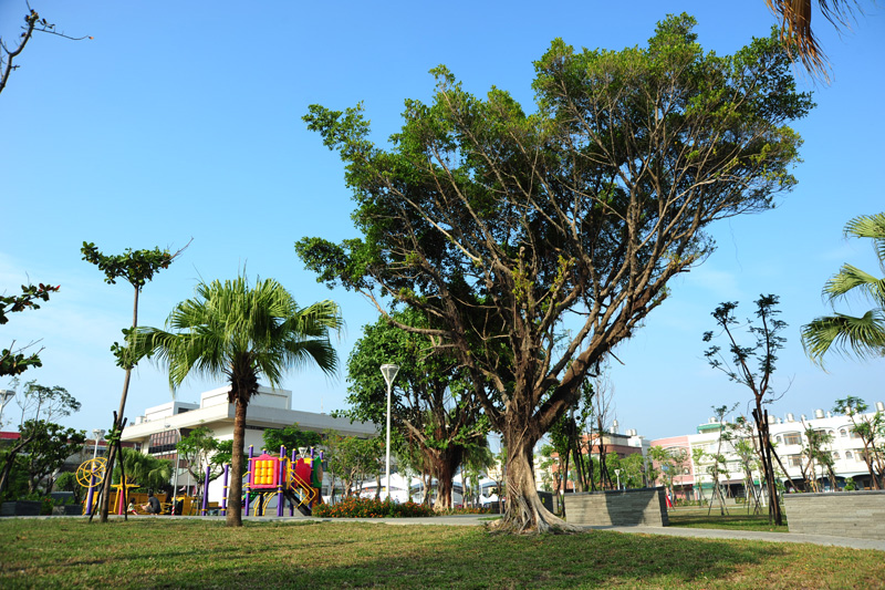 市府闢建信蚵公園，讓蚵仔寮景觀再升級。（圖∕鮑忠暉 攝）