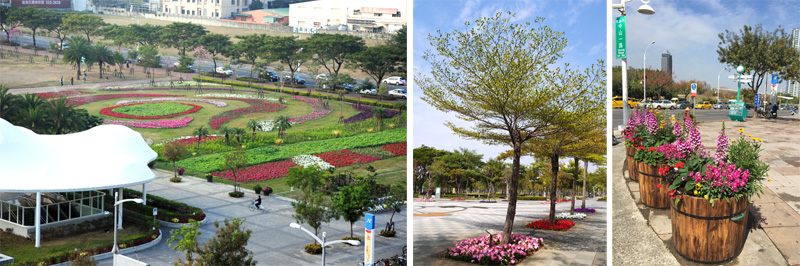 高雄都會區的凹子底森林公園與中央公園花團錦簇，也是賞花好地點。（圖∕鮑忠暉 攝˙李昀諭 攝）