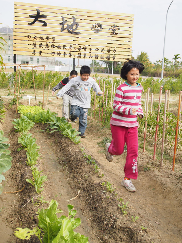 校園空地變身為栽植農作的大地學堂。（圖∕張筧 攝）