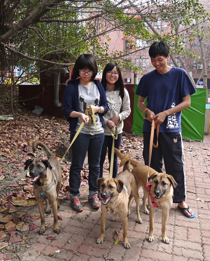 中山大學「管停三寶」在志工的細心照顧下蛻變得可愛活潑。（圖∕李昀諭 攝）