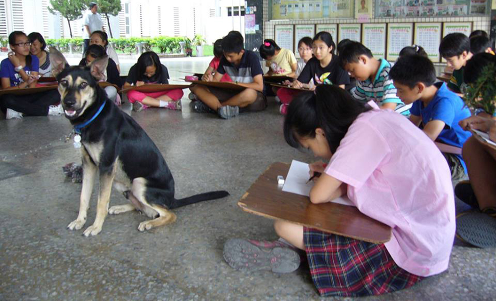 友善校犬計畫 生命教育從校園溫馨展開