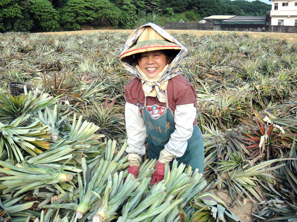 大樹龍目社區以在地特色物產，成功打造全台第一座六級產業社區。（圖/龍目社區發展協會 提供 ）