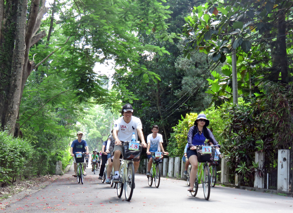 林蔭蔽日的綠色隧道，騎起車來輕鬆快意。（圖/六龜重建關懷協會 提供）