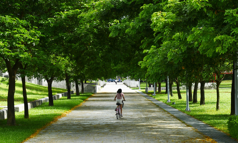 衛武營都會公園腹地遼闊，是出遊散步的好選擇。（圖/張簡英豪 攝）