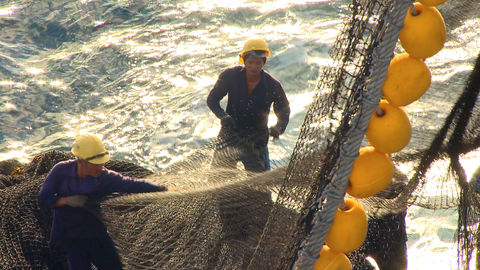 在時速13海浬的捕撈船上下網捕撈70海浬的魚群，倚賴漁工們的經驗。（圖/郭珍弟 提供）