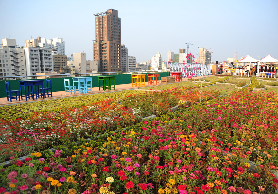 前金國中頂樓的音悅農園，花朵美麗盛開。(圖/鮑忠暉 攝）