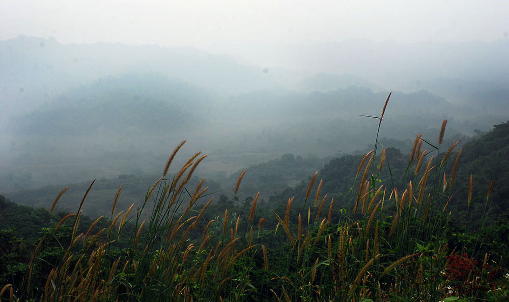 清晨，中寮山間朦朧的山景。（余嘉榮·攝影）