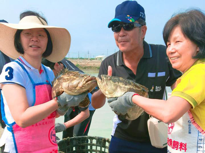 新鮮肥美的石斑魚。（新港社區發展協會‧提供）