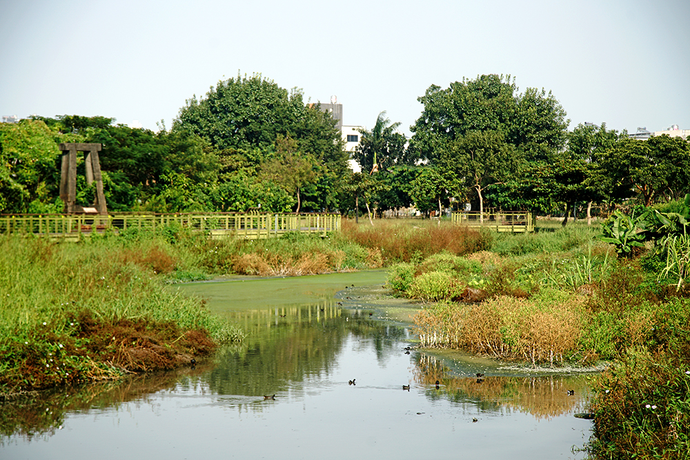 以濕地公園生態廊道回復九番埤灌溉與儲水池風貌，埤塘水域也成為水鳥的天堂。（攝影／曾信耀）