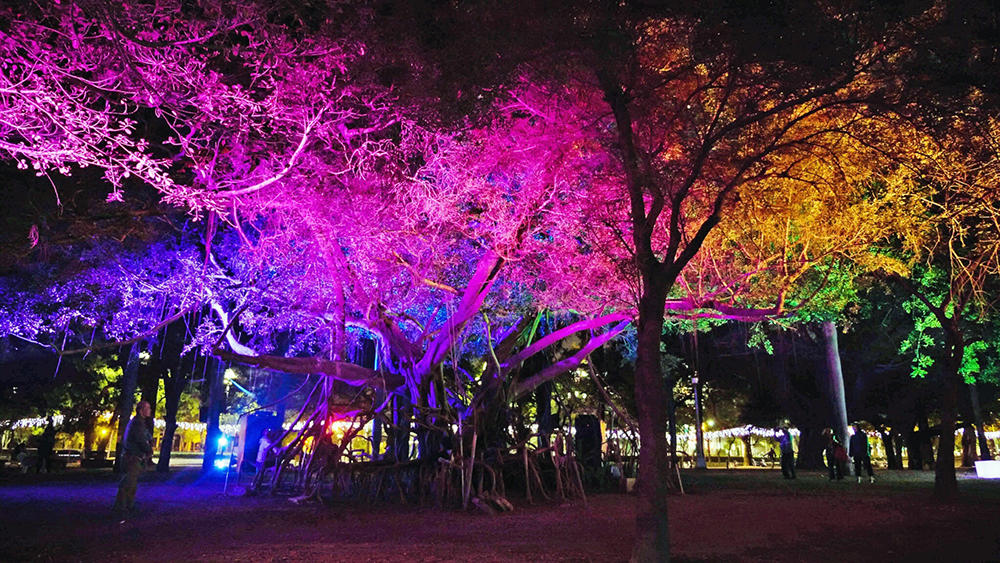 「一畝光蔭」雷射光秀就在陪伴中央公園的老榕樹下，目眩神迷。（照片提供/高雄市政府經發局）