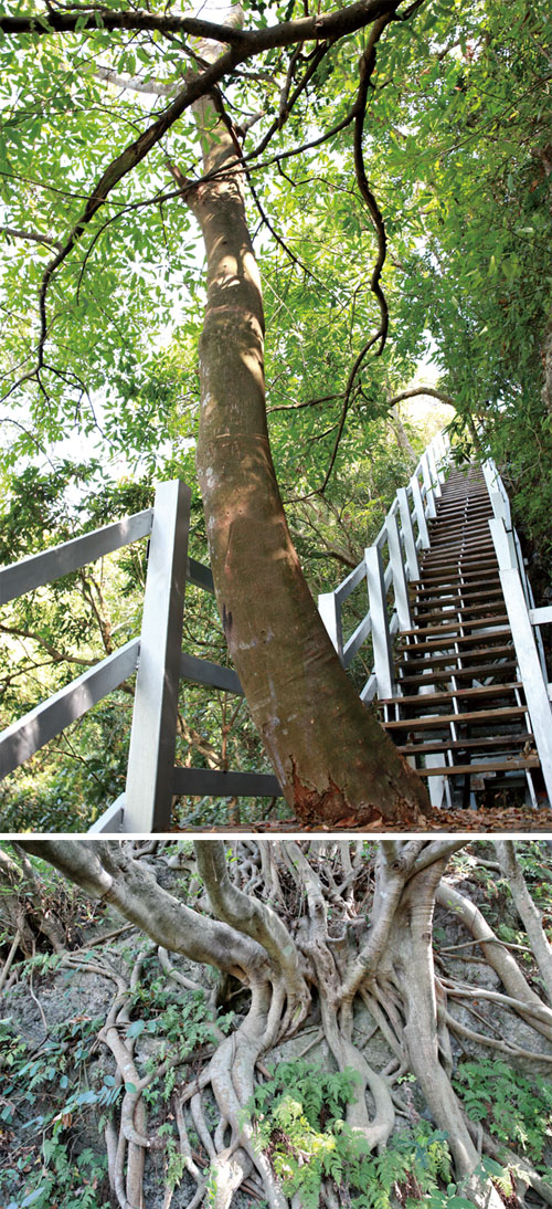 麒麟山景致 Scenery at Cilin Peak
