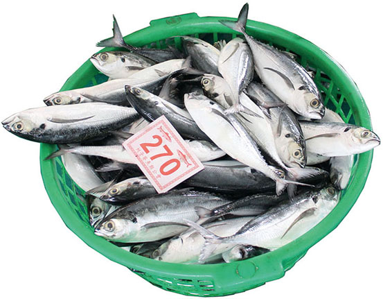 蚵仔寮 現代漁村桃花源