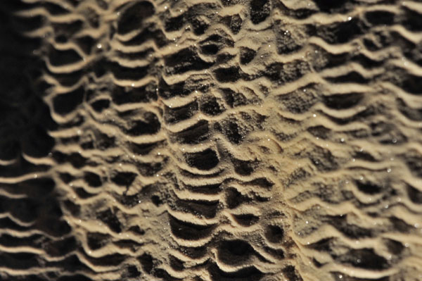 情人洞的結晶壁面 Crystals at entrance of Lover's Cave