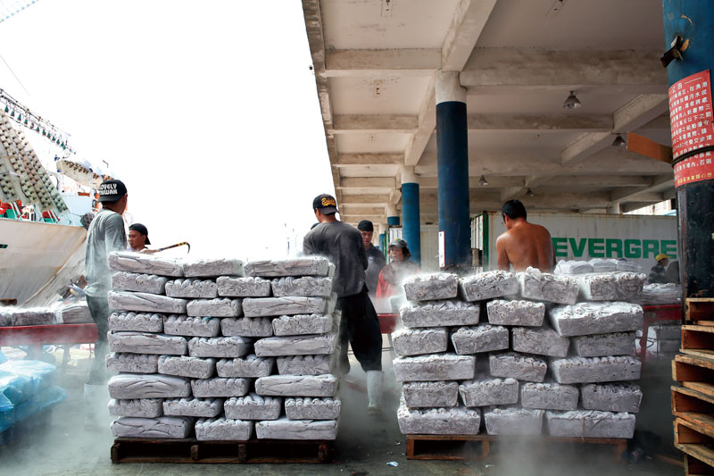 一塊塊的凍魷塊 Blocks of frozen squid