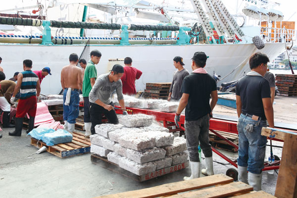 凍魷卸貨 Unloading frozen squid