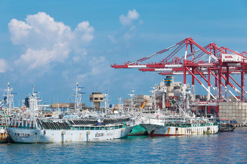 台灣遠洋魷釣船魷魚捕撈量位居全球第三大 Taiwan ranks third in the world in terms of the volume of squid caught.