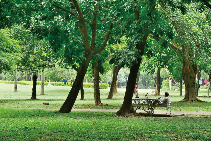綠意盎然的衛武營都會公園 Lush green Wei Wu Ying Metropolitan Park