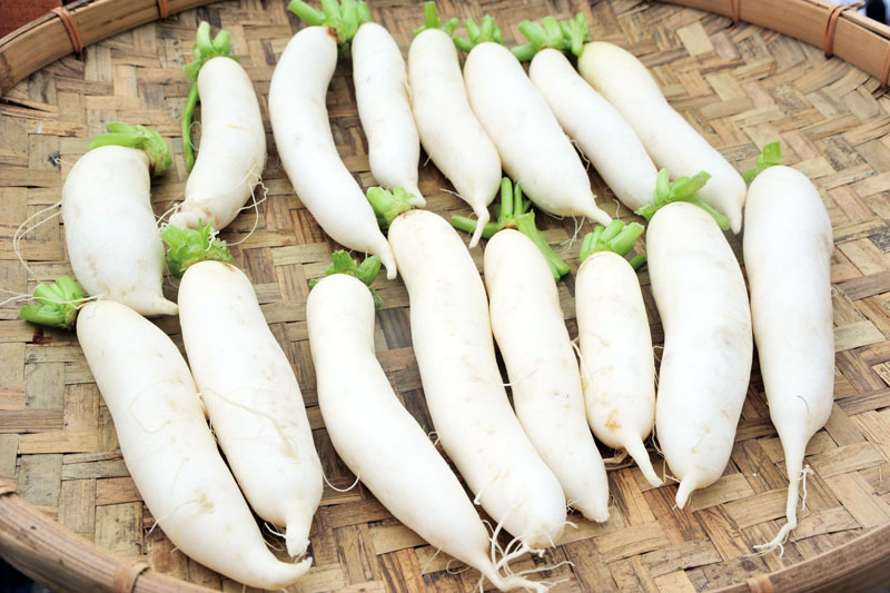 白玉蘿蔔 White Jade Raddish