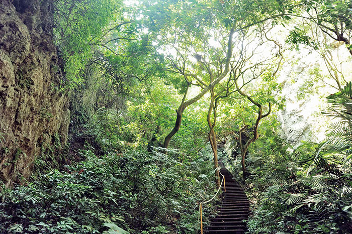壽山自然景致 Shoushan's natural scenery