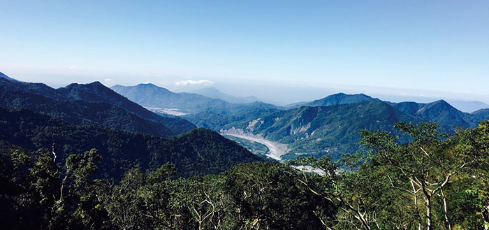 The Innumerable Charms of Taoyuan District