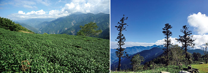 Taoyuan District presenting an abundant variety of geological features