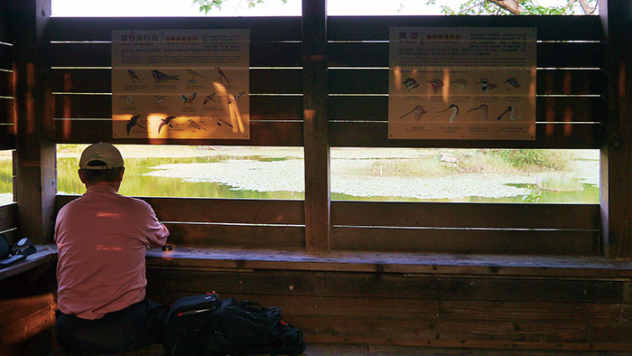 Niaosong Wetlands Park